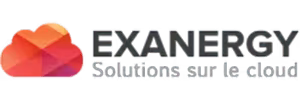 Exanergy