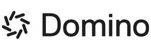 Domino Data Lab