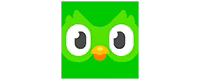 Duolingo Software