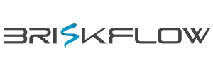BriskFlow