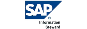 SAP Information Steward