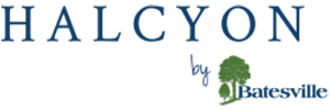 Halcyon Death Care Management Solutions