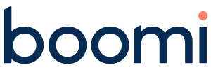 Boomi