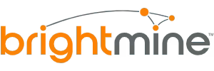 Brightmine Pay Equity Analytics
