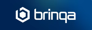 Brinqa Knowledge Platform