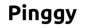 Pinggy