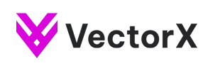 VectorX Salesforce