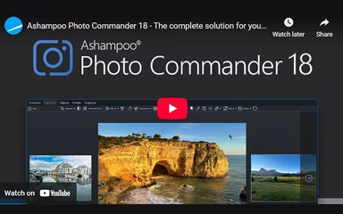 Main Snapshot
