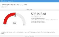 Main Snapshot