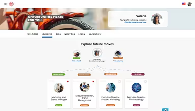 Main Snapshot