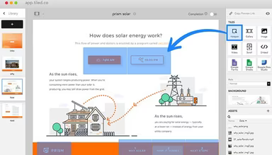 Main Snapshot
