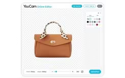 Main Snapshot