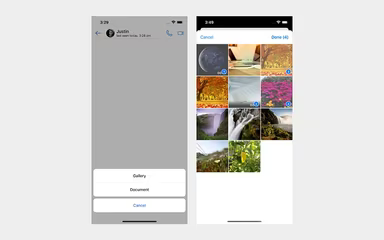 Main Snapshot