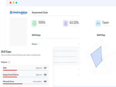 Main Snapshot