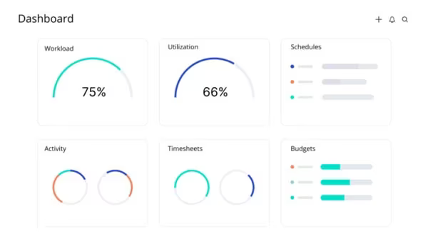 Main Snapshot