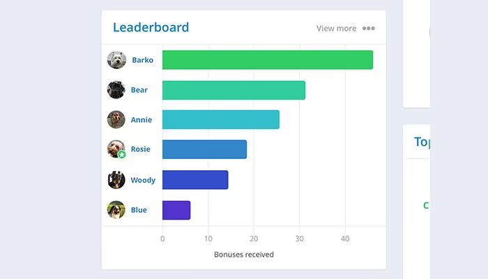 Main Snapshot